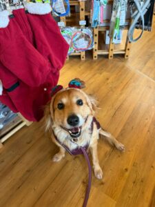 e891c837 aa37 4e76 bc34 543f49f19bb9